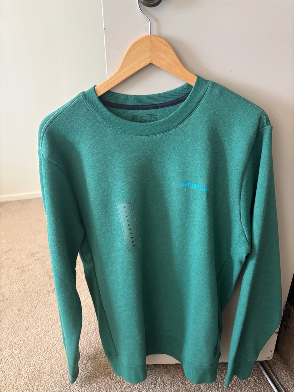 New Patagonia Teal Crewneck Sweatshirt